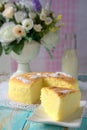 Cotton Cheese Cake Royalty Free Stock Photo