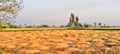 The cotton crop has been harvested along