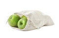 Cotton eco bag with apples isolated Royalty Free Stock Photo