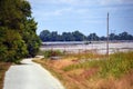 Cotton Field and Twisting Country Road Royalty Free Stock Photo