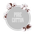 Cotton flowers logo. Vector illustrtion.