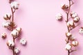 Cotton flower branch on pink background with copy space. Top view. Flat lay. Flowers composition. Cozy winter and organic