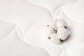 Cotton flowers on a comfortable mattress texture background top view. White texture of mattress bedding background. Healthy sleep Royalty Free Stock Photo