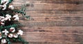 Cotton flowers and eucalyptus branches over a  wooden table Royalty Free Stock Photo