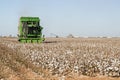 Cotton harvest