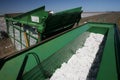 Cotton harvest