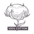 Cotton hundred percent natural material monochrome sketch outline