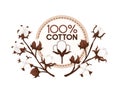 100 cotton label badge with cotton branches vector illustration isolated on white background Royalty Free Stock Photo