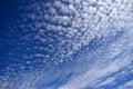 Cotton-like clouds in the sky Royalty Free Stock Photo