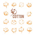 Cotton logos, icons, labels, stickers and emblems. Cotton flower plant, organic ball fluffy boll.