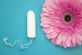 Cotton menstrual tampon and pink gerbera daisy flower. Selective soft focus. Woman hygiene conception photo. Soft tender protectio