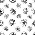 The cotton is organic. Seamless black and white pattern, graphic vector illustrations in the form of cotton boxes and Royalty Free Stock Photo