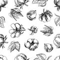 The cotton is organic. Seamless black and white pattern, graphic vector illustrations in the form of cotton boxes and Royalty Free Stock Photo