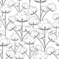 Cotton pattern seamless. Clap flower background. Cottons Inflorescence texture Royalty Free Stock Photo