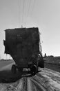 A cotton picker harvests black and wight