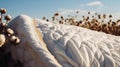 Cotton Plant Bolls Against Quilted Fabric Background