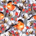 Cotton plant branches, red berries, winter finch birds. Repeating pattern. Watercolor Royalty Free Stock Photo