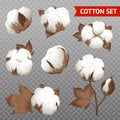 Cotton Plant Transparent Realistic Set Royalty Free Stock Photo
