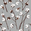 Cotton plants grey seamless vector pattern