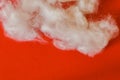 Cotton raw material on isolated red background