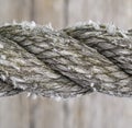 Cotton rope Royalty Free Stock Photo