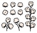 Cotton set. Collection cotton icons. Vector Royalty Free Stock Photo