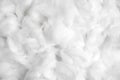 Cotton soft fiber texture background, white fluffy material