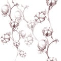 Cotton - stalk plants with seed pods. Seamless pattern. Wallpaper. Use printed materials, signs, posters, postcards, packaging.