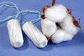 Cotton. women`s health care, cotton tampon, intimate hygiene, gynecological menstruation cycle.