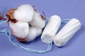 Cotton. women`s health care, cotton tampon, intimate hygiene, gynecological menstruation cycle.