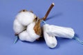 Cotton. women`s health care, cotton tampon, intimate hygiene, gynecological menstruation cycle.