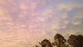 Cottoncandy skies Royalty Free Stock Photo