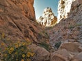 Cottonwood Canyon Narrows