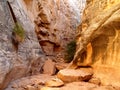 Cottonwood Canyon Narrows