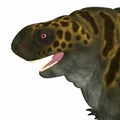 Cotylorhynchus Dinosaur Head Royalty Free Stock Photo