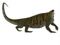 Cotylorhynchus Dinosaur Side Profile