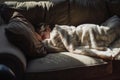 couch napper with light blanket, peaceful afternoon light