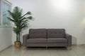 A couch next to an artificial decorative palm tree at the corner of a room