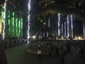 Cougar Night Lights holiday light show at College of Charleston.