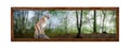 Cougar in a summer forest, mountain lion, puma. Framework in antique style. Vintage picture frame