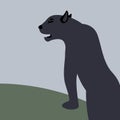 Cougar vector illustration flat style black silhouette