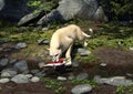 Cougar catches a Salmon, 3D Illustration