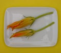 Cougette or zucchini flower for cooking fritters or beignet.on white plate