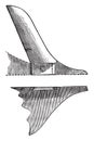 Coulter member has convex edge, seen in elevation and in horizontal section, vintage engraving