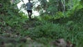 Counfused Male Tourist Running Lost in Tropical Rainforest in Bali Alone.