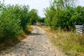 Counrty path. Royalty Free Stock Photo