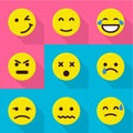Countenance icons set, flat style Royalty Free Stock Photo