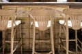 Counter of a bar with old and weathered white wood with high stools Royalty Free Stock Photo