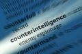 Counterintelligence - Dictonary Definition