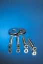 Countersunk wood screws on a blue background Royalty Free Stock Photo